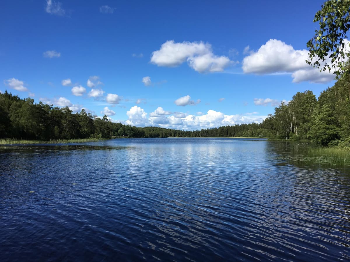 Sjö omgärdad av skog.